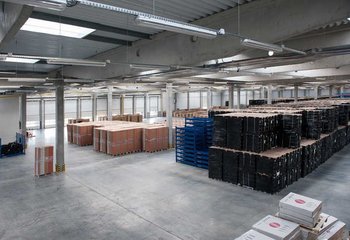 Prenájom skladu so službami, uskladnenie paliet v Dunajskej Strede/ Full service pallet rental in Dunajská Streda