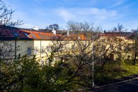 IMG_5993