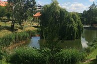 IMG_4673