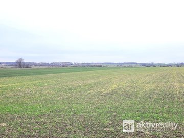 Prodej Pole, 24 516 m², Jiřice, Kostelec nad Labem