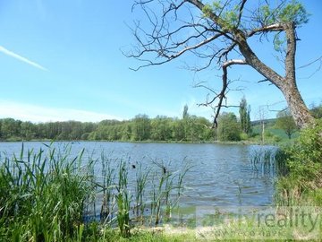 Prodej, Rybník, 17628m² - Hroznětín
