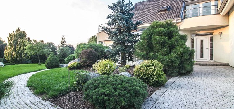 BorisJesenice-54