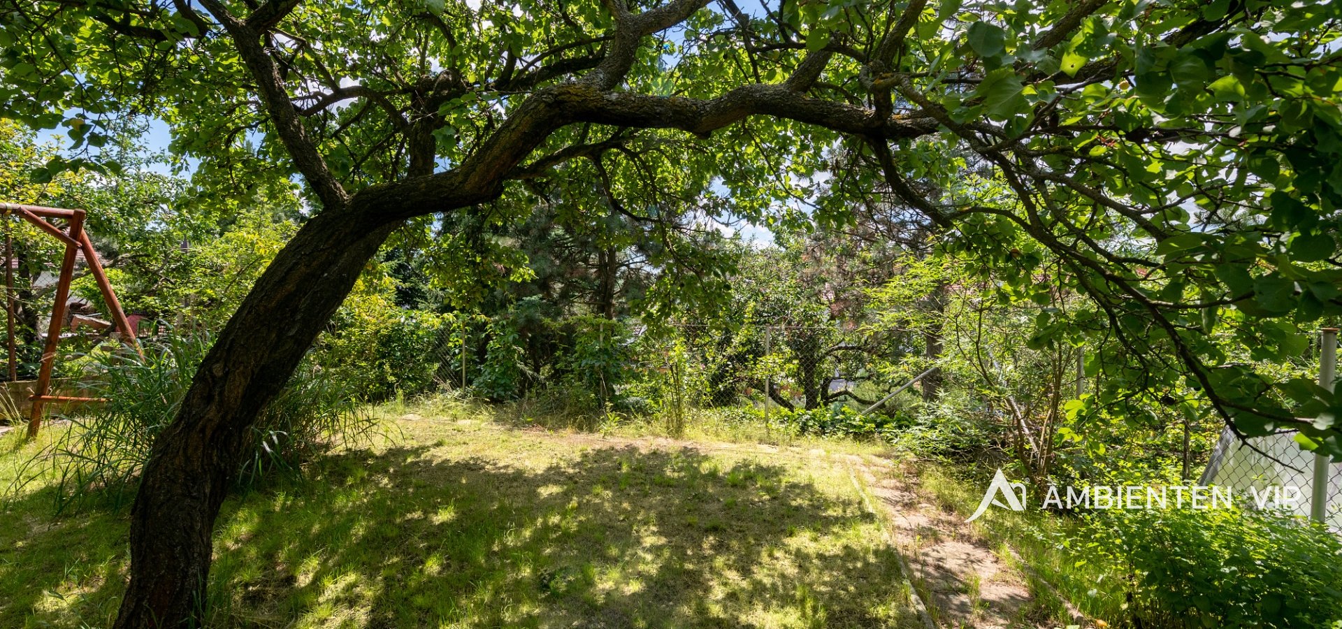 DSC_0701-Edit