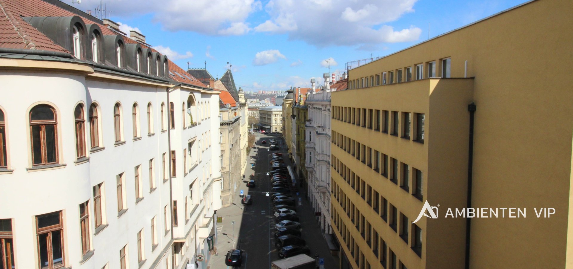 IMG_2484 copy