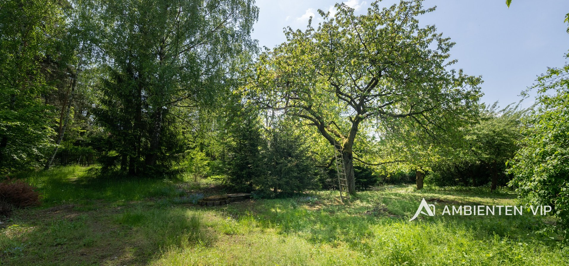 DSC_9509