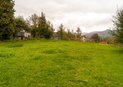 DSC08431
