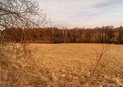 DSC06639