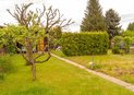 DSC09165