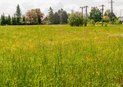 DSC00668