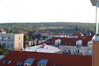 IMG_1198a