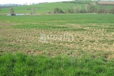 Pozemek orná půda u obce Drachkov, okres Benešov, lukrativní, Ev.č.: 00979