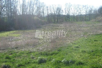 Prodej pozemku, KÚ obce Drachkov, okres Benešov, Ev.č.: 00982