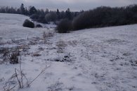 IMG_20210208_144146