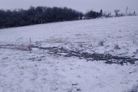 IMG_20210208_143641