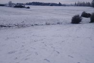 IMG_20210208_143840