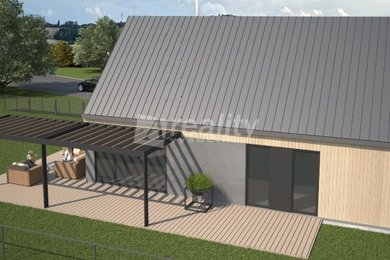 image1a
