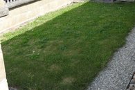 DSCN3494