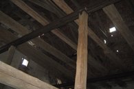 IMG_3900
