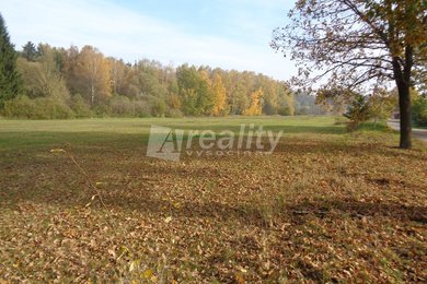 Prodej pozemku orná půda, 11.001 m², Rodvínov, Ev.č.: 01367