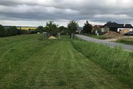 IMG_5806