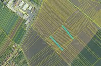 Prodej 2936m2 vysoce produkční zemědělské půdy v kú Babice u Uherského Hradiště