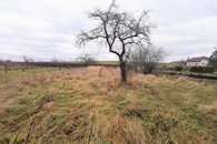 IMG_20211220_133425
