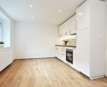 Pronájem bytu 2+1 se sklepem, 48 m², Lovosice - Resslova