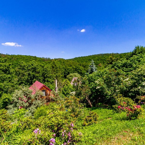 Útulná chata 50 m2, s pozemkem 816 m2, Třebotov - Solopisky