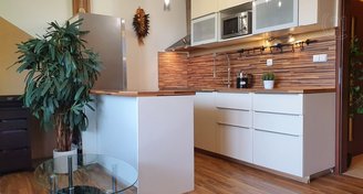 Prodej bytu 1+kk/L (36 m2), předzahrádka (19 m2), 1xPS, Pečky (okr. KO)