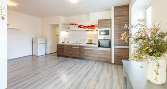 Prodej bytu  2+1,  93 m² - Kutná Hora - Malín