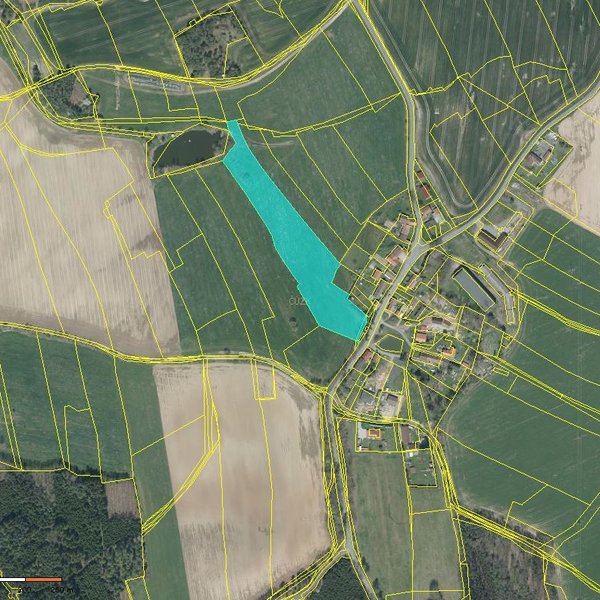 Prodej pozemku Němčice u Třebnic o výměře 15.703 m2-trvalý travnatý porost