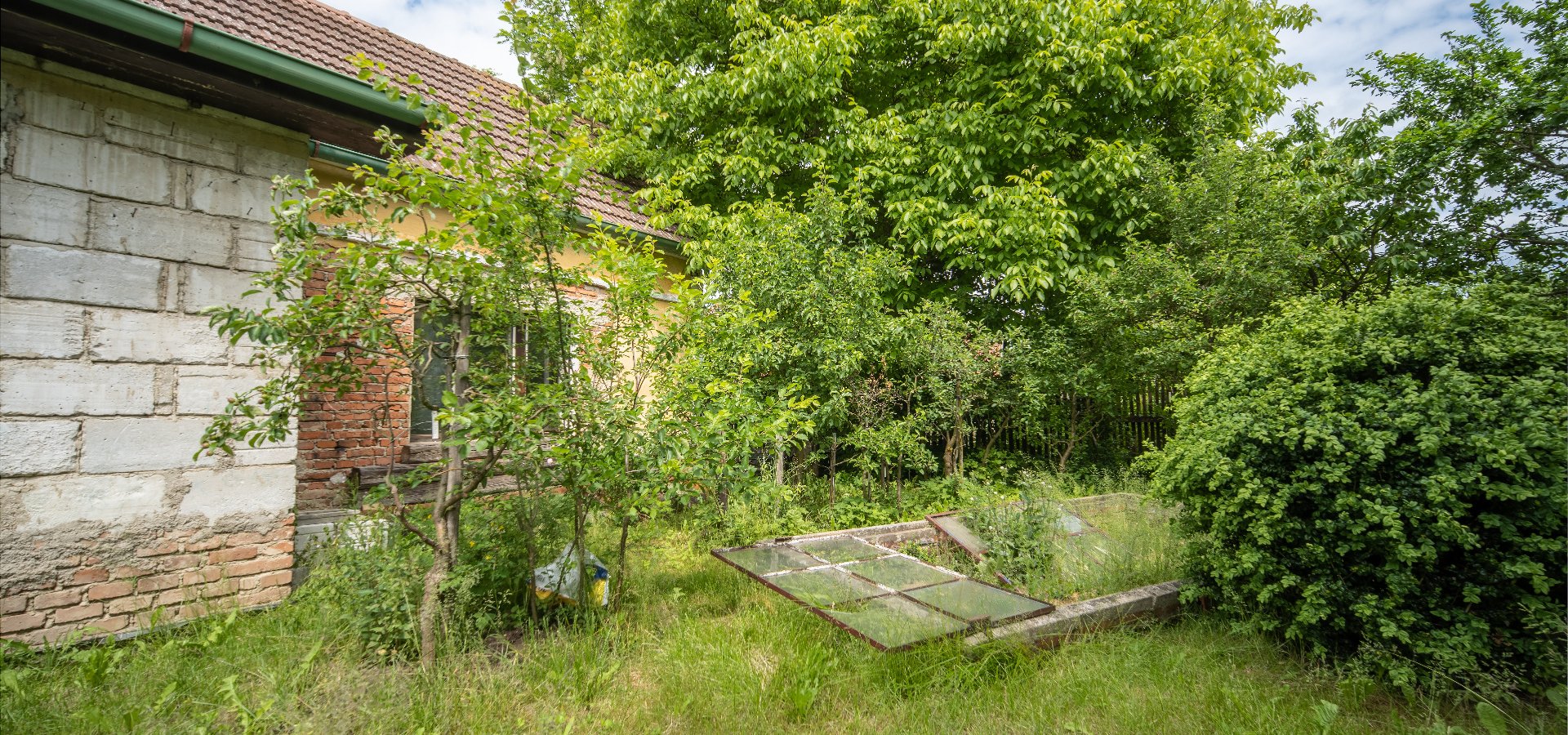 P1023428-HDR