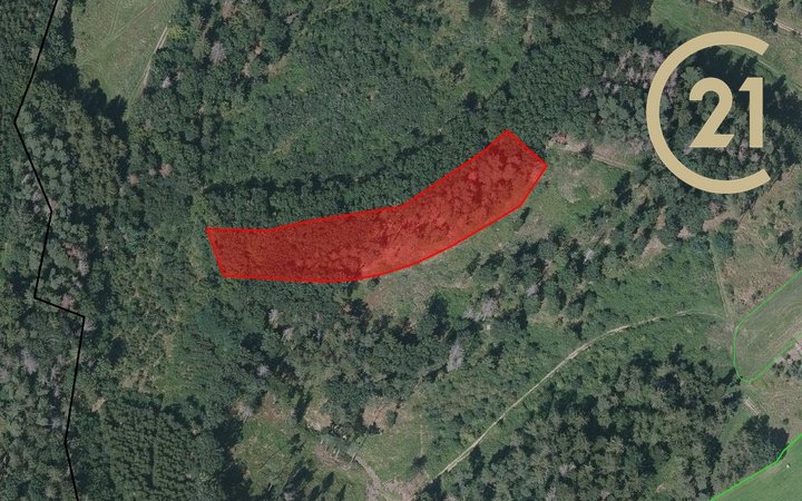 Jamné u Tišnova, lesní pozemek, 4 247 m2