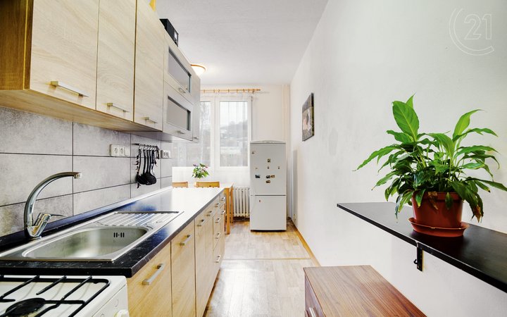 Prodej pěkné 1+1 s lodžií, po rekonstrukci, 44 m² - Ústí nad Labem - Severní Terasa