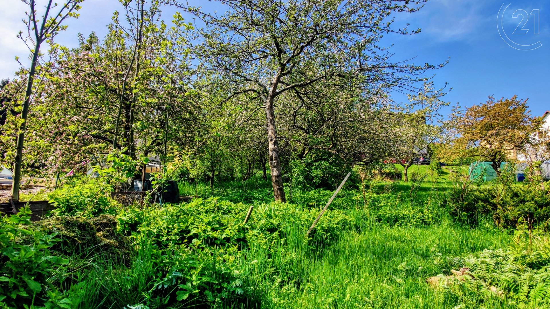 Prodej, Rodinné domy, 220 m² -