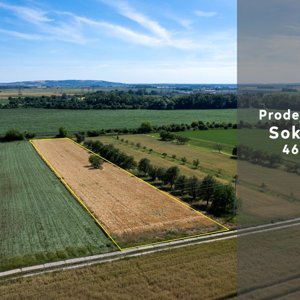Prodej pole 4662 m² - Sokolnice