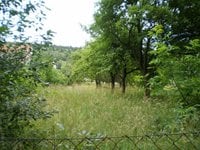 Prodej pozemku v lokalitě Vyškov, okres Vyškov - obrázek č. 7