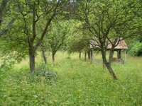 Prodej pozemku v lokalitě Vyškov, okres Vyškov - obrázek č. 4