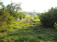 Prodej pozemku v lokalitě Jabloňany, okres Blansko - obrázek č. 3