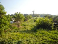 Prodej pozemku v lokalitě Jabloňany, okres Blansko - obrázek č. 2