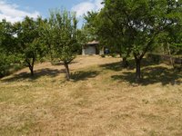 Prodej pozemku v lokalitě Slavkov u Brna, okres Vyškov - obrázek č. 3