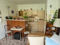 Prodej bytu v lokalitě Neslovice, okres Brno-venkov - obrázek č. 4