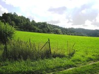 Prodej pozemku v lokalitě Boskovice, okres Blansko - obrázek č. 4