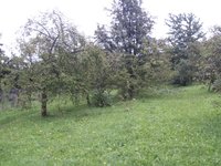 Prodej pozemku v lokalitě Popovice, okres Uherské Hradiště - obrázek č. 4