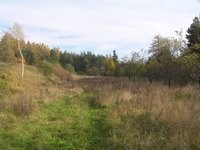 Prodej pozemku v lokalitě Kunštát, okres Blansko - obrázek č. 3