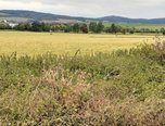Jaroměřice u Jevíčka - zemědělská půda  22.632 m² - pozemek - Pozemky Svitavy