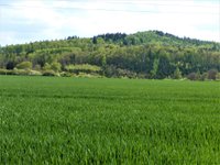 Prodej pozemku v lokalitě Svinošice, okres Blansko | Realitní kancelář Blansko