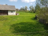 Prodej pozemku v lokalitě Bory, okres Žďár nad Sázavou | Realitní kancelář Blansko