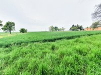 Prodej pozemku v lokalitě Horní Kounice, okres Znojmo - obrázek č. 2