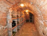 Jaroslavice, sklep 61 m2 s pozemkem 245 m2, lisovna, vinice 8.180 m2 - vinný sklep - Ostatní Znojmo